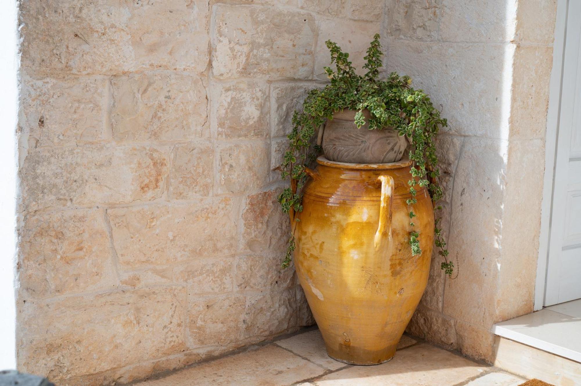 Trullo Degli Anelli In Masseria 奇斯泰尼诺 外观 照片